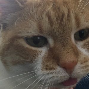 Meet your Posher, Mariah